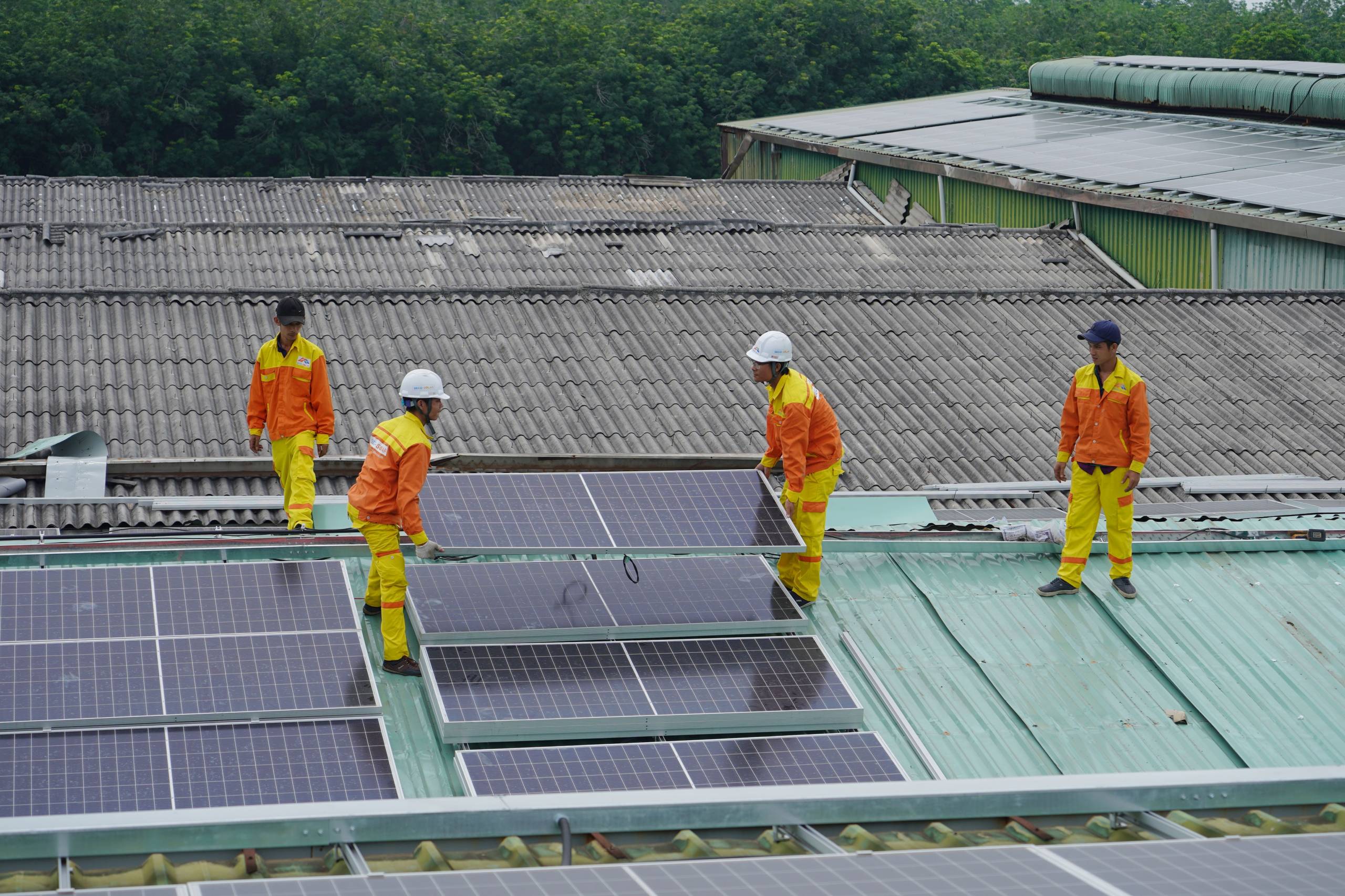 Panel Cleaning